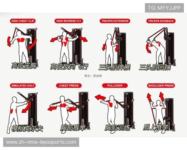 针对腰腿部位的健身器材推荐及使用指南